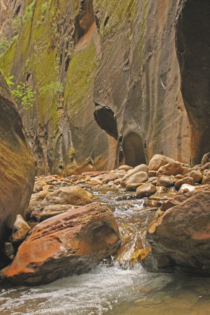 utah zion national park