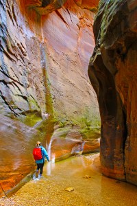 hiking the narrows in utah