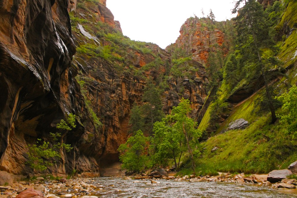 Hiking Zion's Narrows