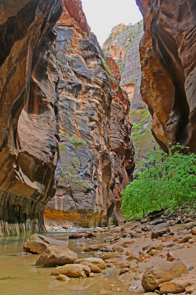 utah zion narrows