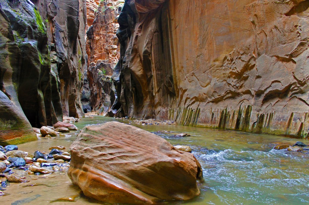 Rock in Virgin River Narrows