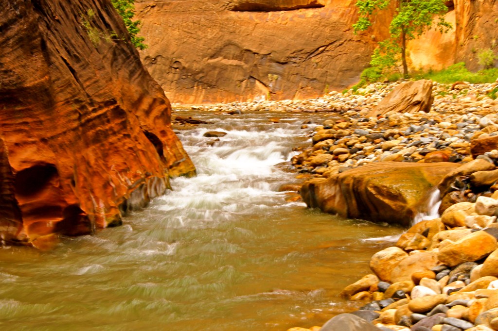 Virgin River Narrows